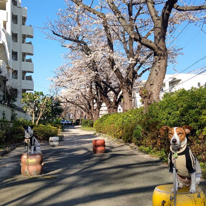 Cb2c8c78 6af9 4ce8 811a a07ea1835f35 1679266703606