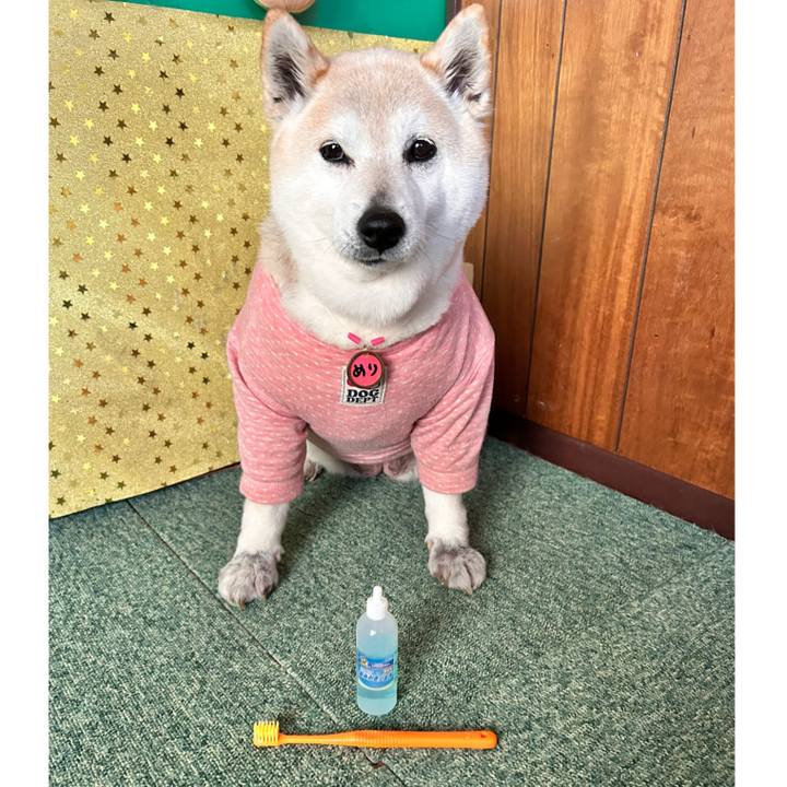 Cb2cd110 e19e 474d 875c e016a55540a2 1742196077736