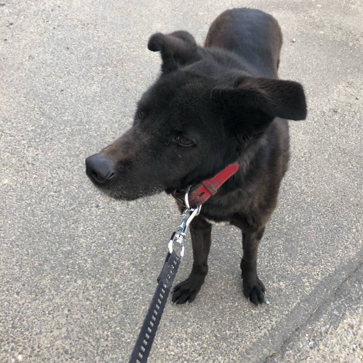 Cb2d1a29 8ad6 4873 926a ea037dca7067 1552809879525