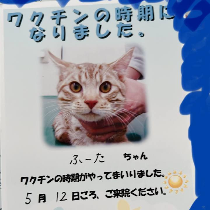 Cb2d308b 3ccc 47cf 9a66 8eed872b8fbb 1650581623203