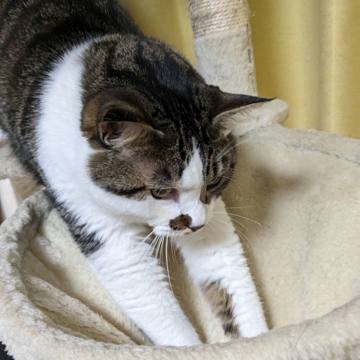 Cb2d31e7 ec3d 4780 9738 2ce2c51a1201 1691306900725