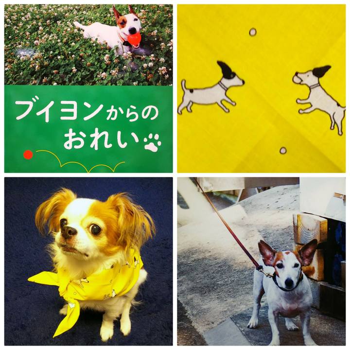 Cb2d33e4 baf5 495c a68c ac3c285d86b3 1526287343140