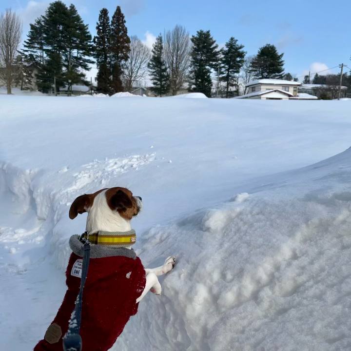 Cb2d3f4c e446 4015 987b 967a57abe47d 1643288492683