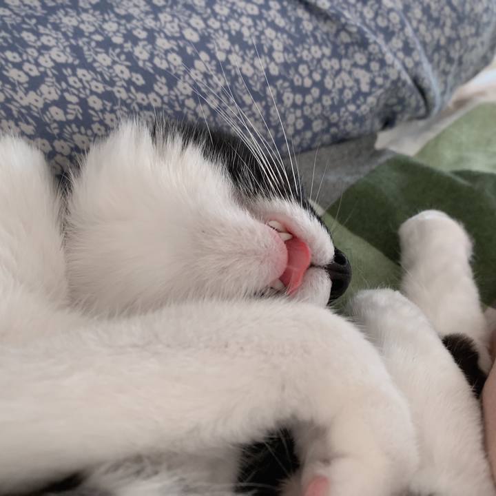 Cb2db28e 369d 41a8 9dc1 5a6a80fa860a 1560007557170