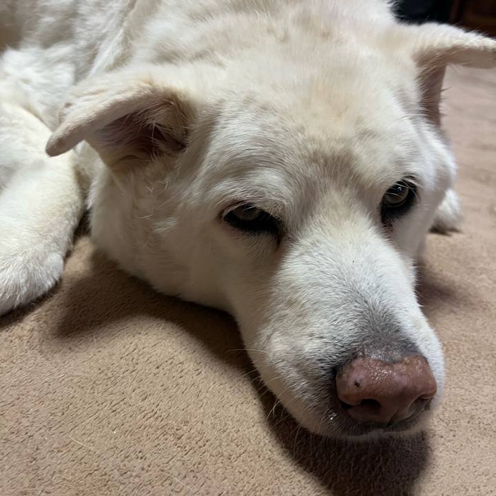 Cb2dc7fa 3905 4faf a394 db274af539e9 1768865118709