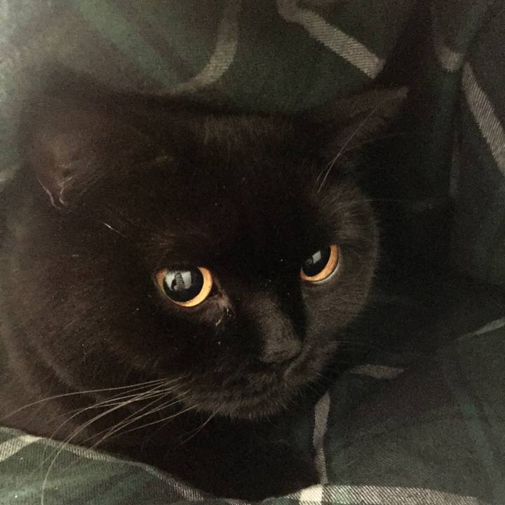 Cb2e141b 9057 4d40 b24d 96306f2bb932 1576794331771