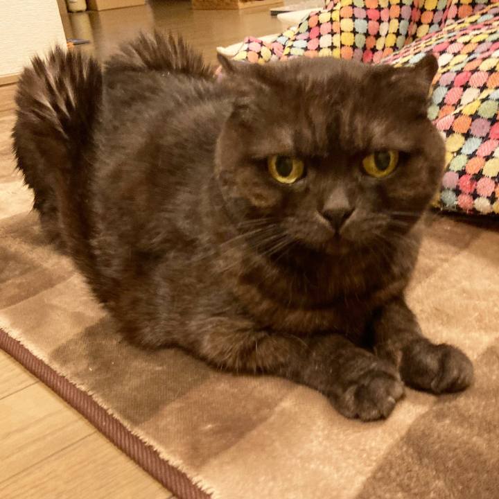 Cb2e1df2 d7e7 42b9 bfd5 cb5f2f8a4dfb 1611418226833