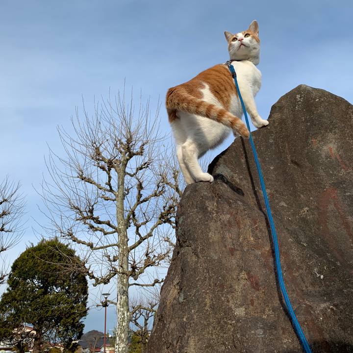 Cb2e1e31 e8b6 456a ad90 91640783fae3 1578721298884