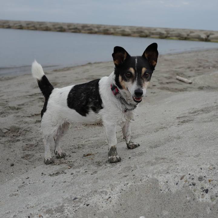 Cb2e7900 a799 4b96 8e71 73d1b11f34b0 1601254213958