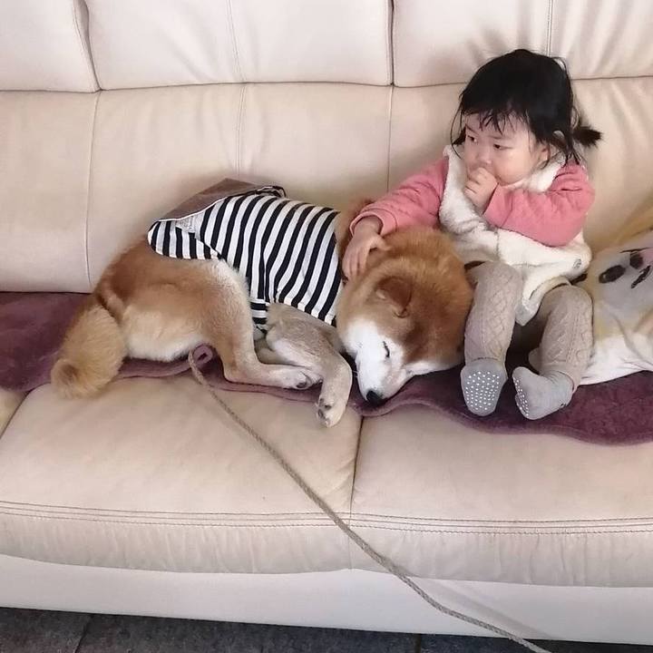 Cb2e9373 14b4 4620 a28d 3a1ea673f559 1642991607598