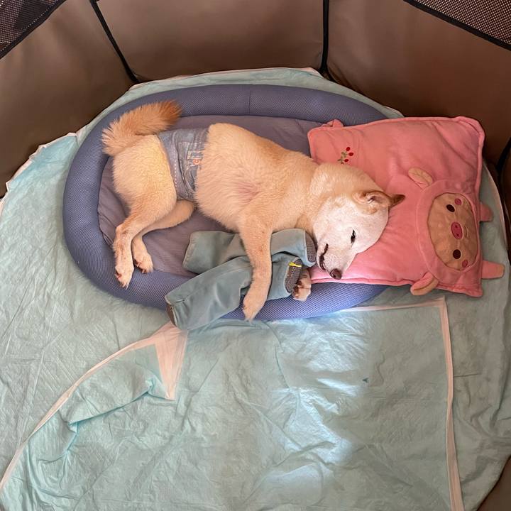 Cb2e9a06 59e1 4ccf 8b60 6464d97905a8 1657008979987