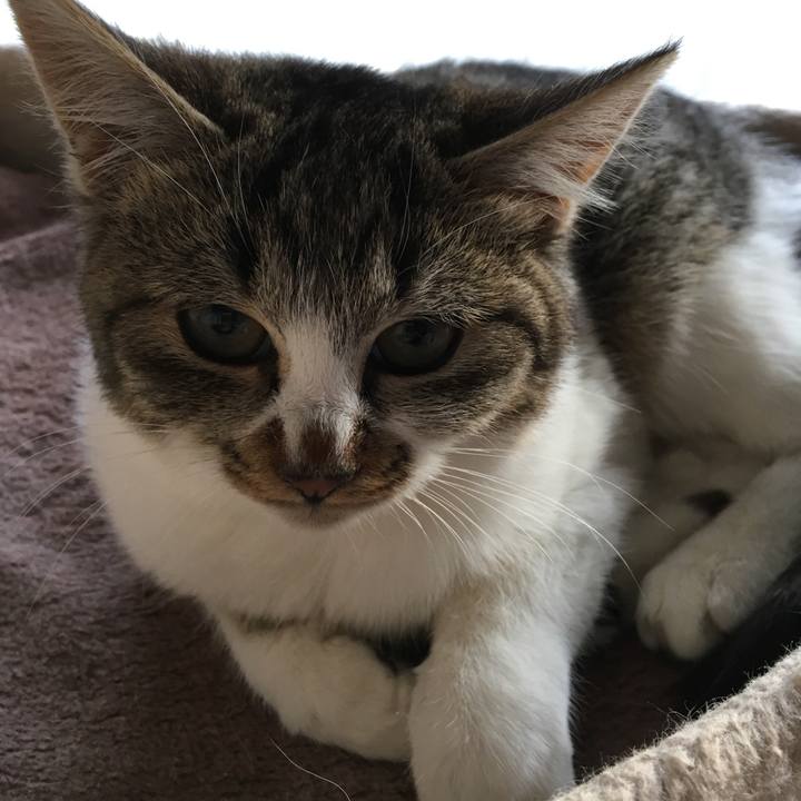 Cb2edd12 300e 4c82 a9a8 05b3c1e23c77 1528126403576