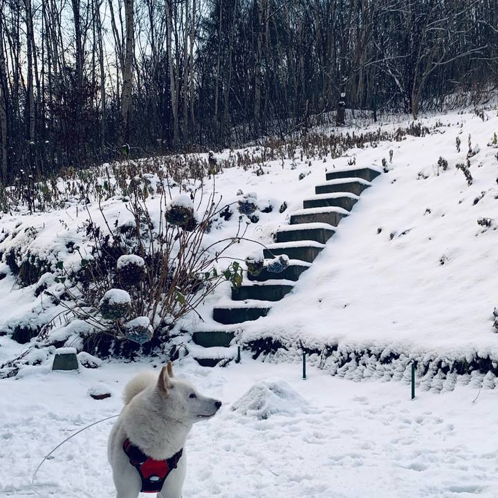 Cb2ef128 2172 4725 a7bc 6d66411a55f7 1606783261437