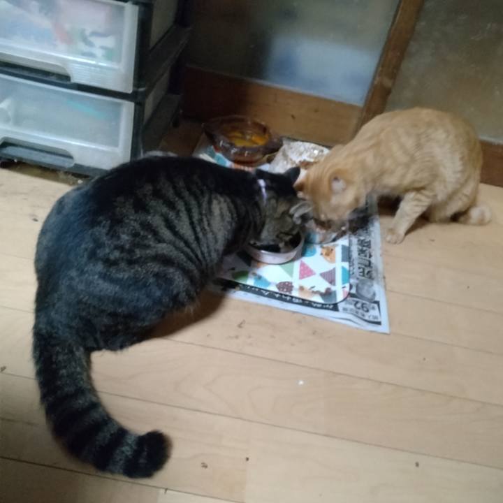 Cb2eff98 d8cc 4ede a61e 9ffadeb55997 1666779788900