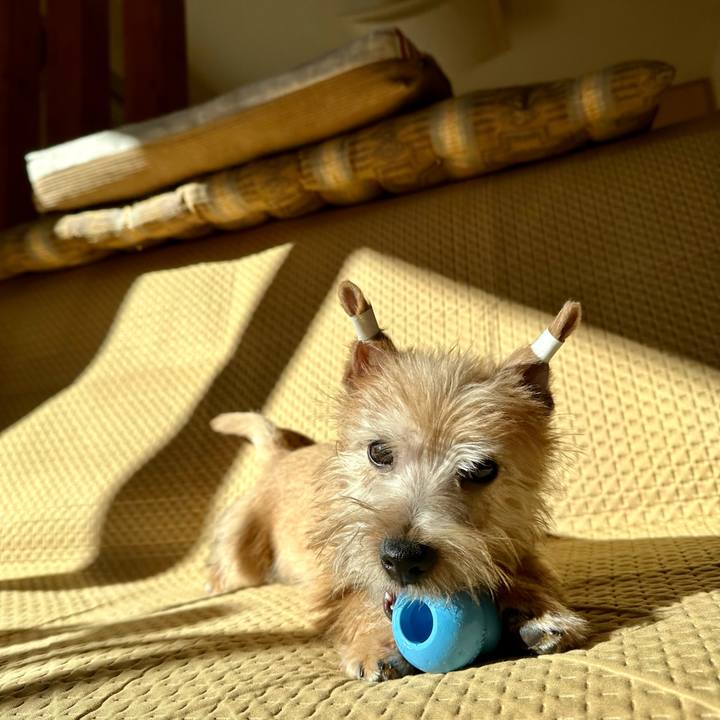 Cb2f22fa 1893 4b55 880c 236e8ced238e 1705410969206