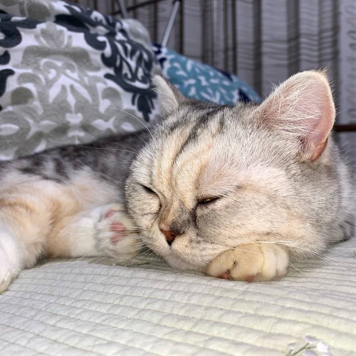 Cb2f283c a3df 48df 8005 6da792ab6a56 1714138910793