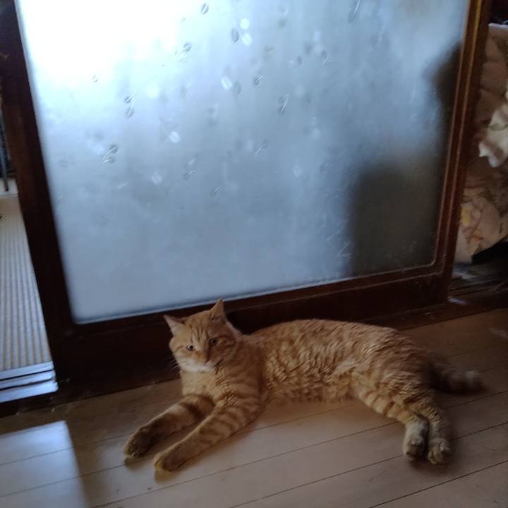 Cb2f4e51 1e5b 405f bb24 8c95f32e5bd7 1690509970356