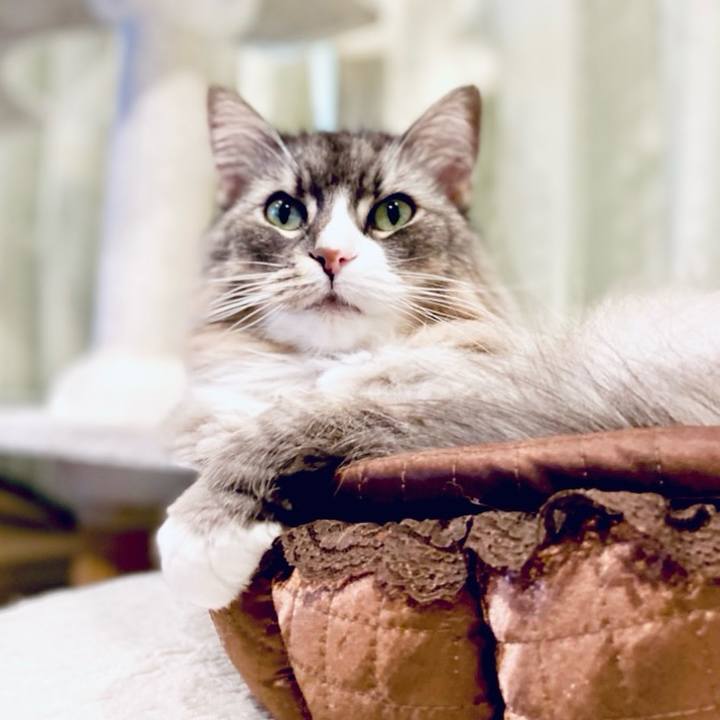 Cb2f55bc 1db2 448a b7cd b61d0e7c3d1b 1755013048438