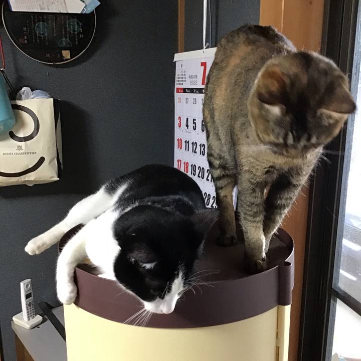 Cb2f70fe ebf0 427c baf5 4388337986ff 1657533509916