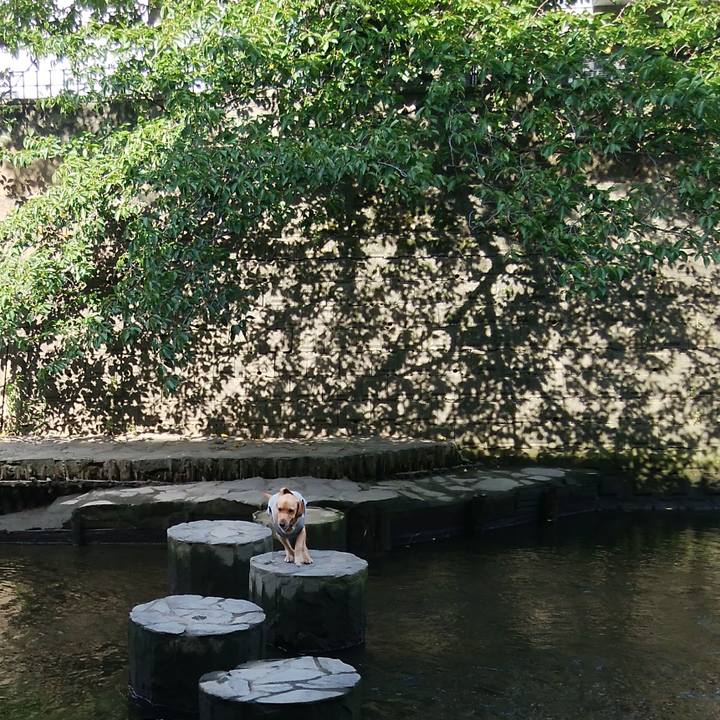 Cb2f74c5 696f 4432 8490 47f97f995497 1530428574699