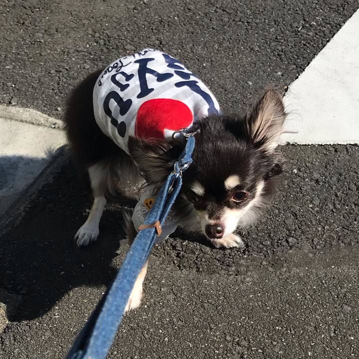 Cb2fdae6 0d8e 4163 b837 6fd7b04485e8 1573197693365