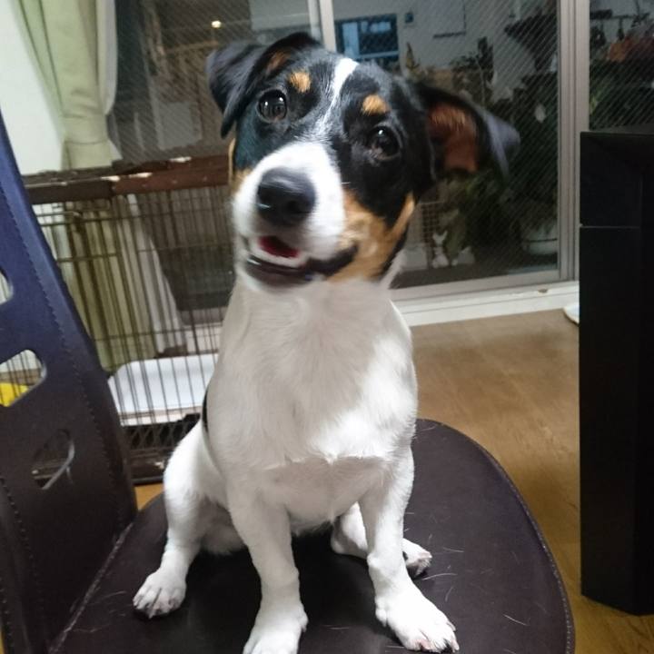 Cb2fdb7e 56e8 4d5b b042 2b79cb2c6b79 1531139294014