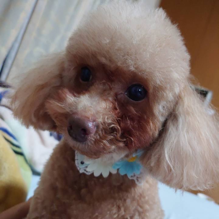 Cb2fed25 4a2a 43f3 9663 4537909f9579 1745823379391