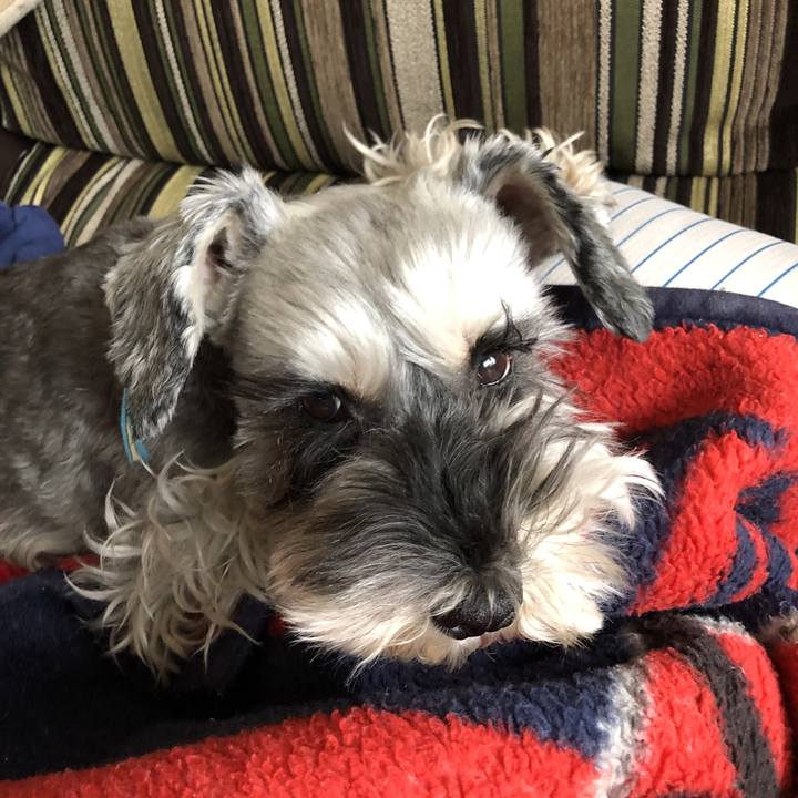 Cb300325 4e69 45cb a392 1645c5473c4e 1581045705877