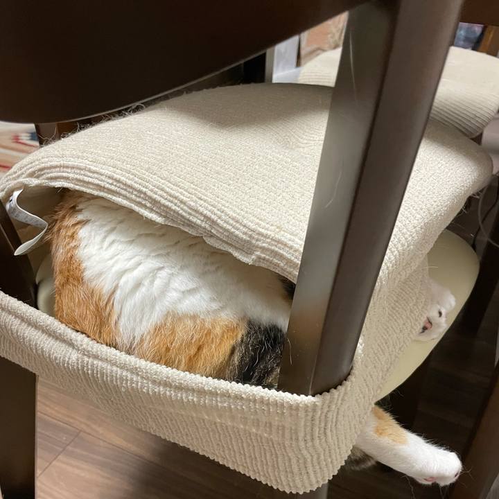 Cb30043d f288 4ecf 9a20 80b9e71b6d93 1626099148382