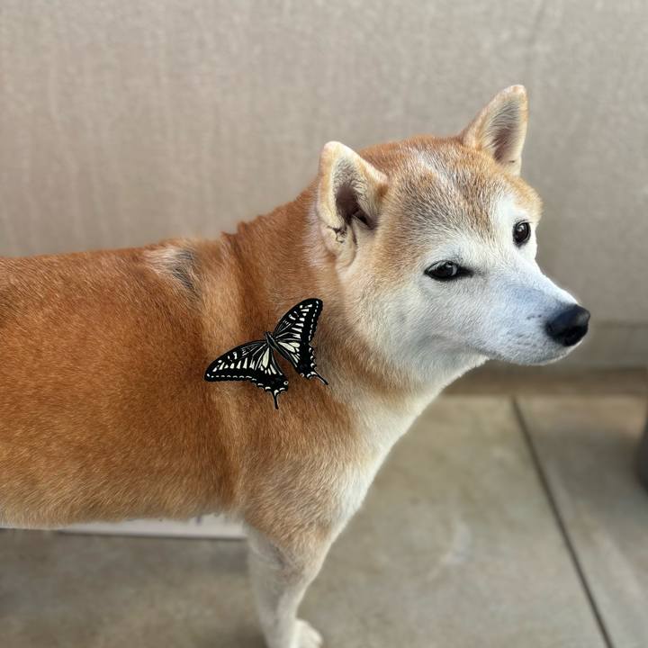 Cb3017f2 416d 41e3 a06b 71c51ad46de1 1732317215128