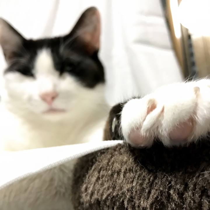 Cb301ca7 d31d 49da a01b 8922f0fb5e2e 1529109967548