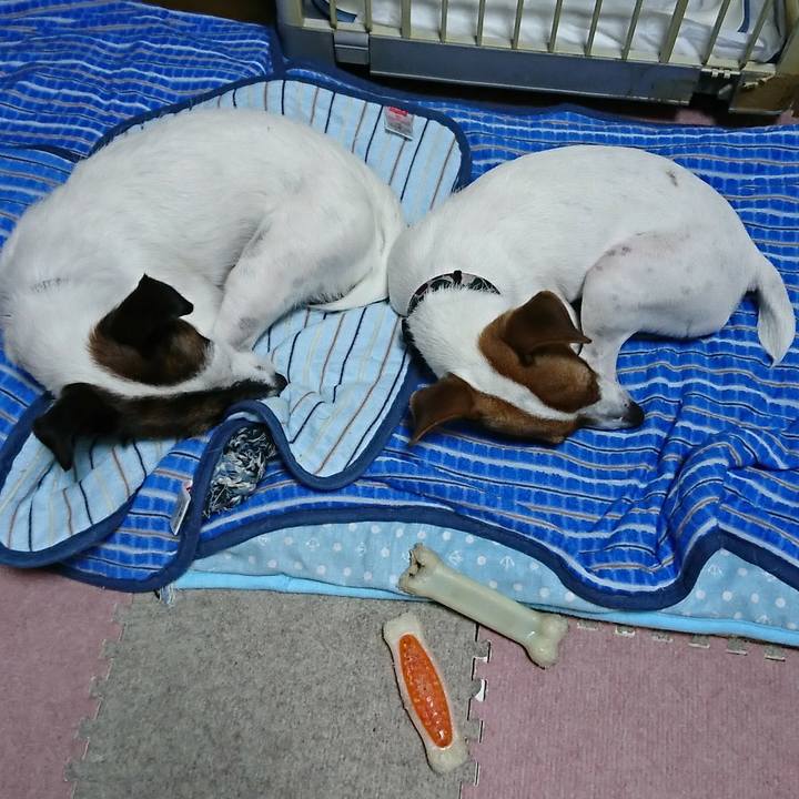 Cb301f56 50e5 46d6 9ac5 c11d93e753a0 1532861452323