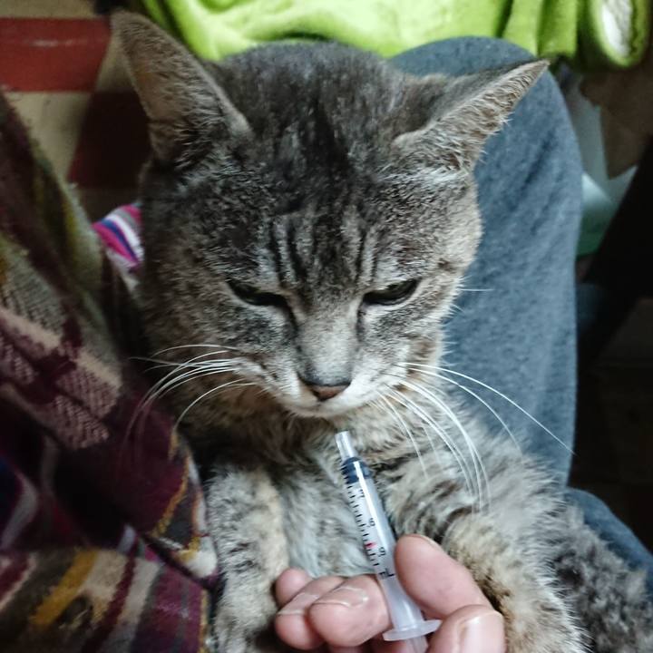 Cb303c1a 490c 4d65 bff8 20b981eafa8a 1582414517644