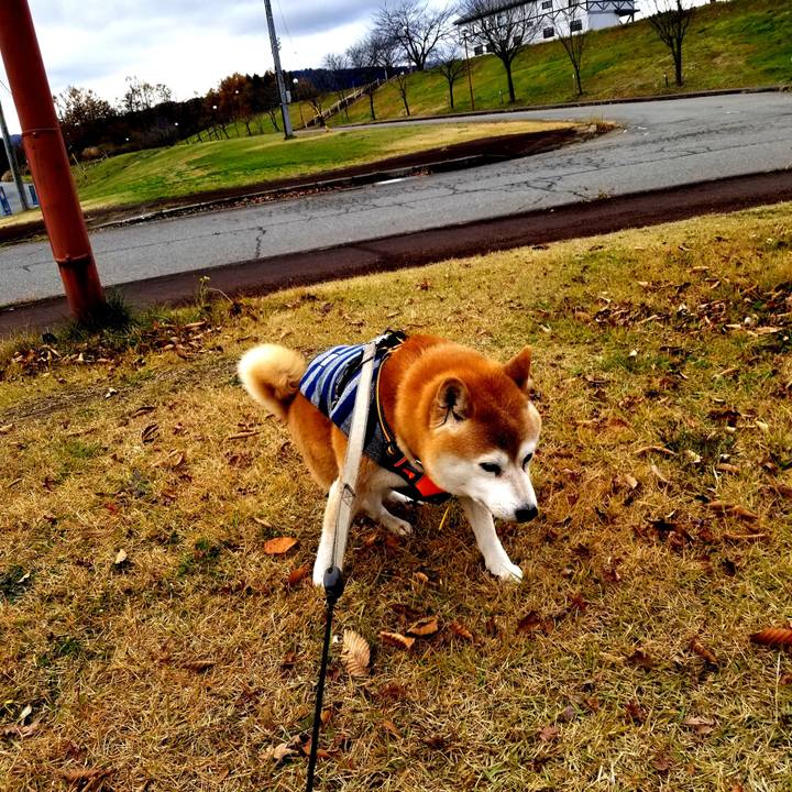 Cb30421a 8d62 4084 ac79 f78bfbf22ef7 1637898189857