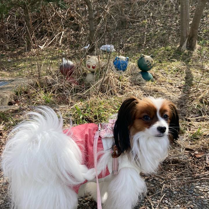 Cb304e2e 43bd 40b6 95bd edf0bb80055c 1648604420062