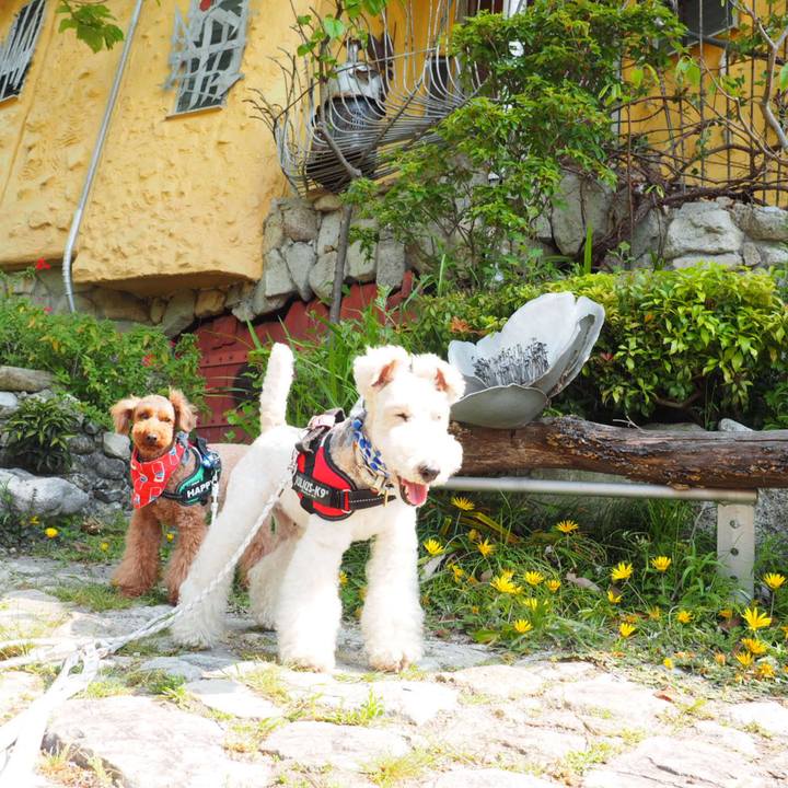 Cb3059e5 e411 4b25 9fd9 86f859e124a2 1557724097956