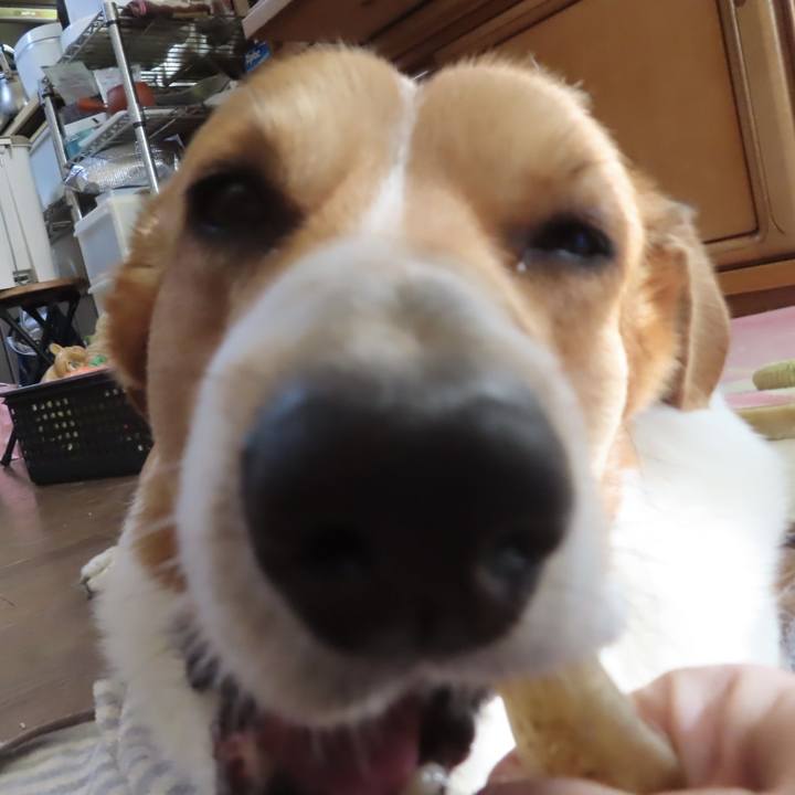 Cb3066cd dc25 4bb6 ad90 0ed532af8729 1705720358004