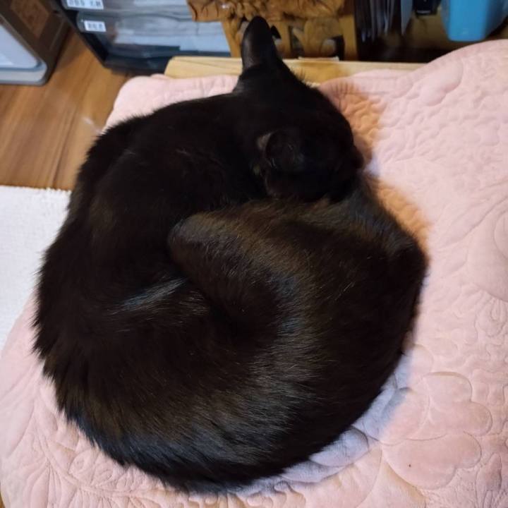 Cb3067e4 0f5f 4a42 b9a4 d2be7398e1e1 1764156813940