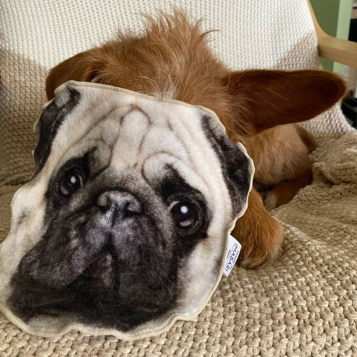 Cb3070e1 711f 4da8 9d0c eb54131a0e14 1628562176100