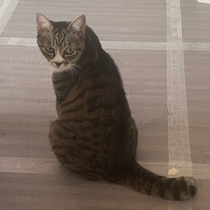 Cb30754c 9430 4982 8903 885de968cb68 1622865737866