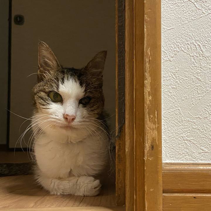 Cb3076aa d592 4dc7 ae33 47b4e4a1384a 1599995208265