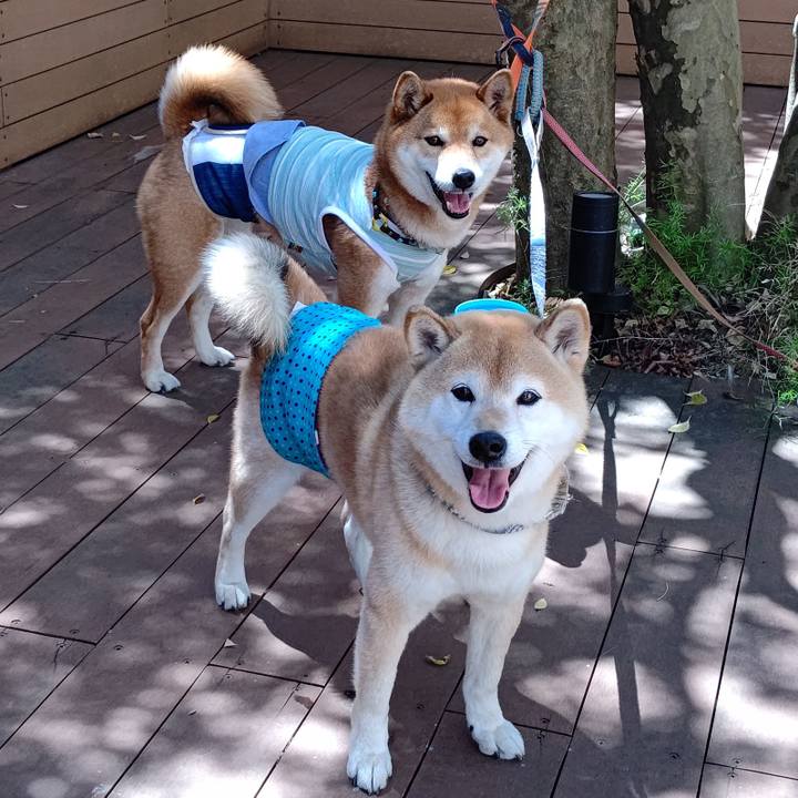 Cb308c83 9ce2 48a9 91eb 02ff570c6948 1619079921485