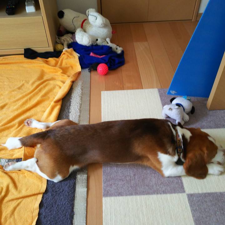 Cb309a41 1775 49ac aea2 80e4ee416b0e 1564205529413