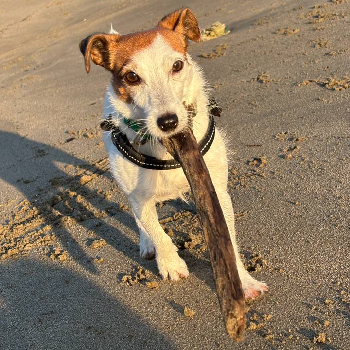 Cb30a3c7 9617 43e5 8e62 6a3336bbad1a 1762298574970