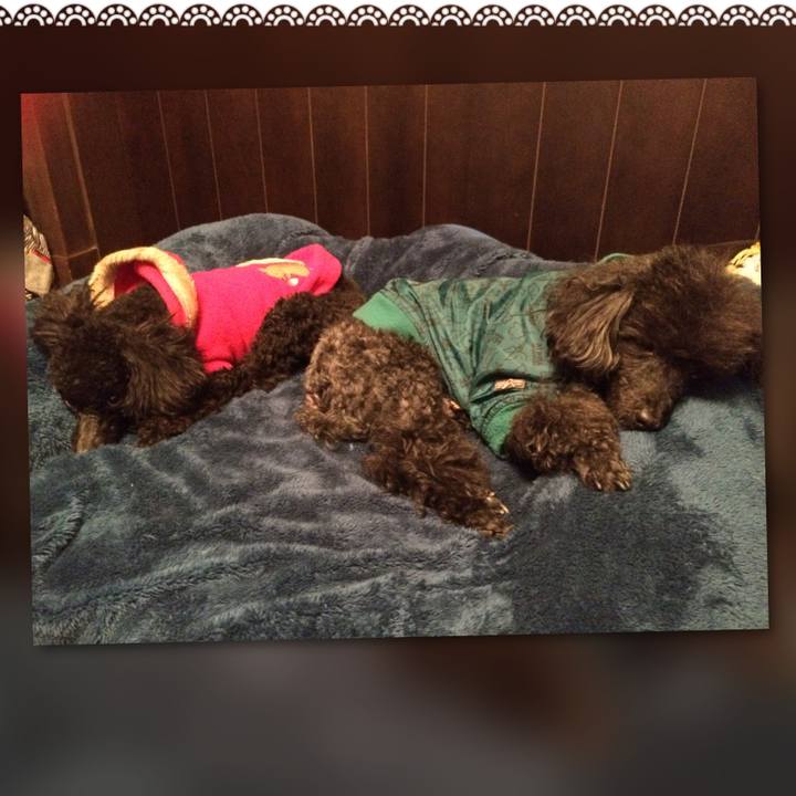 Cb30b0a3 467d 4666 90f4 4bc0e740aa7b 1546390141109