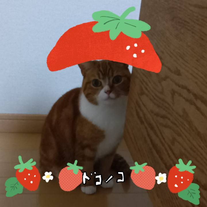 Cb313b91 8471 4c76 8243 60321817d977 1775472731311