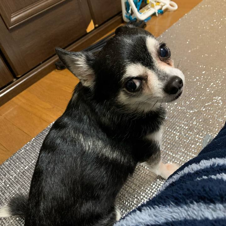 Cb313c89 f22b 4cb4 8c09 27bdf89da731 1681894045145