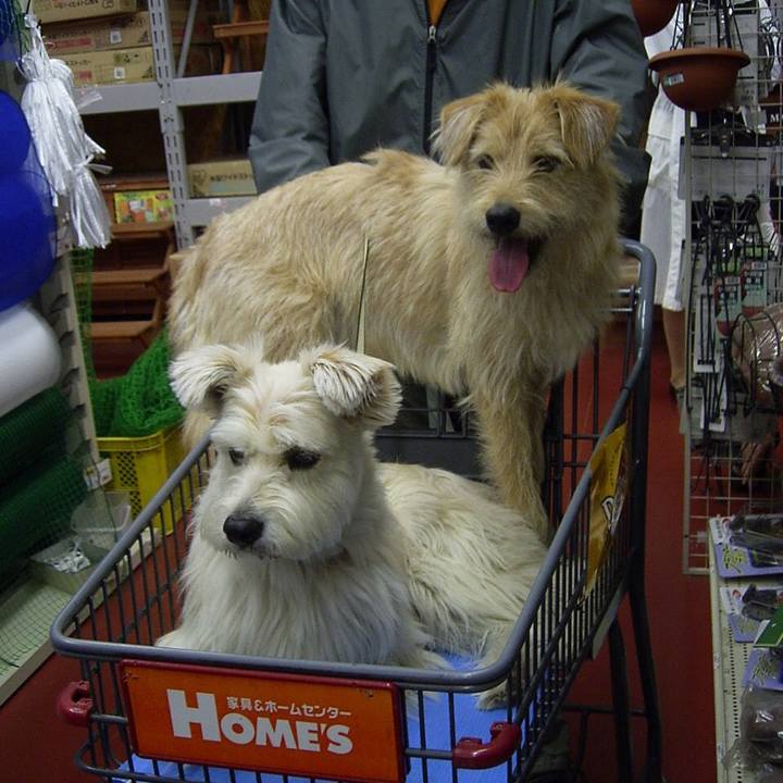 Cb314cd7 a5c1 4f12 9765 1f416a8df899 1555636711028