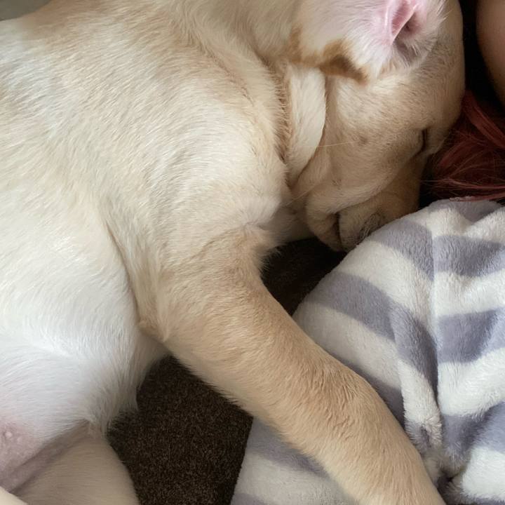 Cb314e0c a50e 4a36 aa3f 3b7be4f9309f 1614303643385