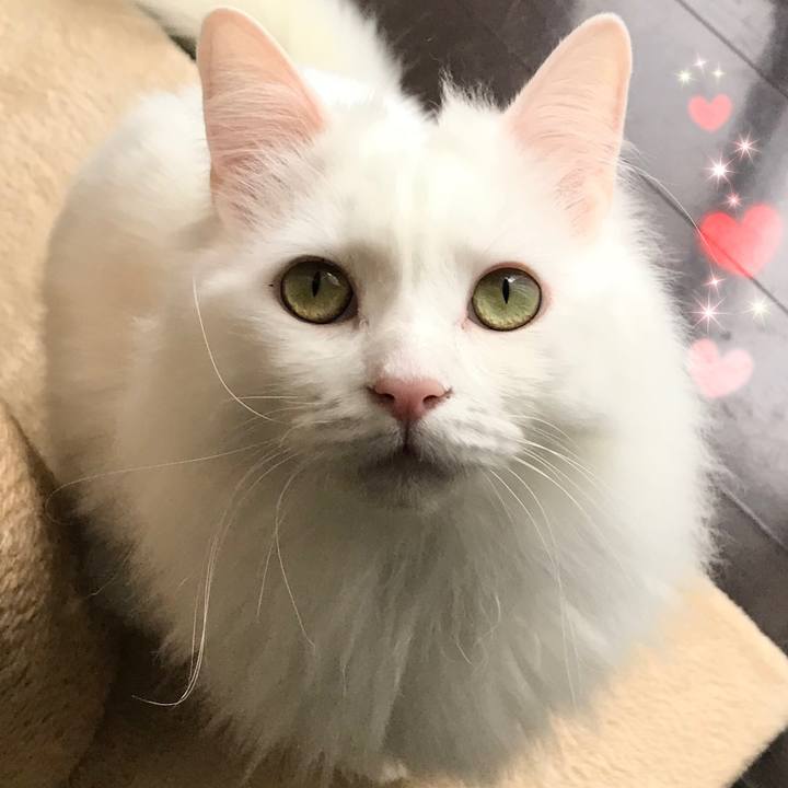 Cb31538a 5e79 459c abb9 d80d4d261f20 1584171992923